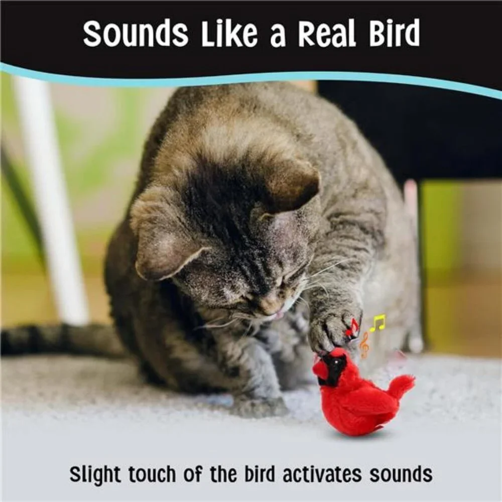 Song Birds Cat Toy Touch Activated Singing Catnip Toy Mimics Real Bird